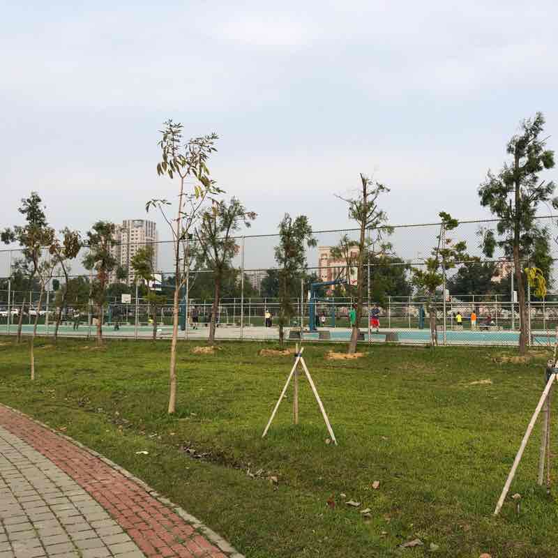 台灣台中市南興公園Nan-sing Park, Taichung, TAIWAN 