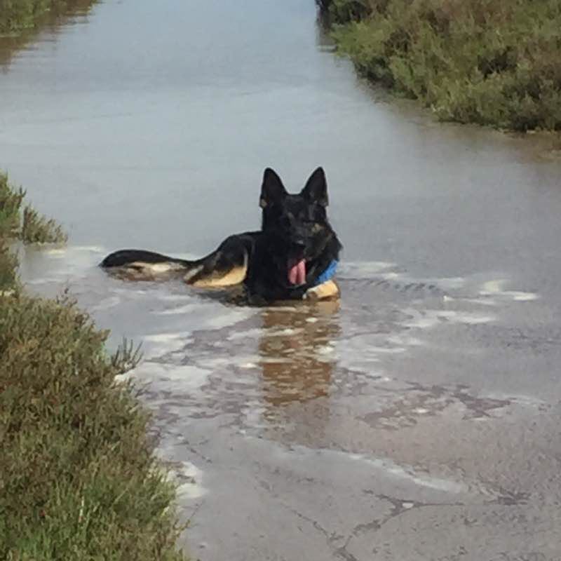 Walk edge pond to meze walking route map in Marseillan