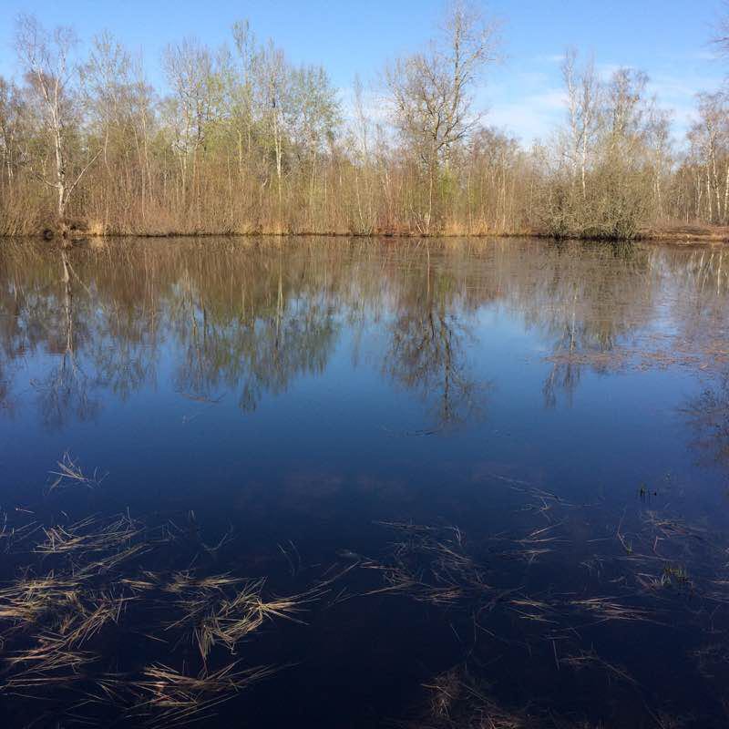 Rando coquibus walking route map in Milly-la-Forêt