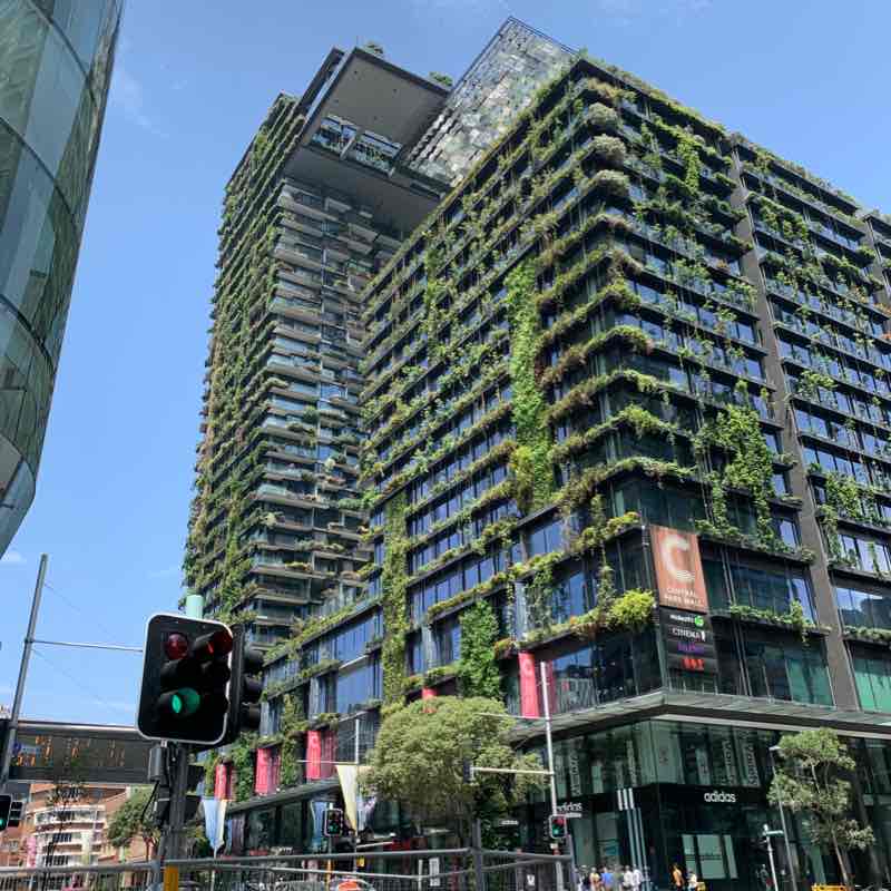 Arlington to Haymarket walking route map in Dulwich Hill