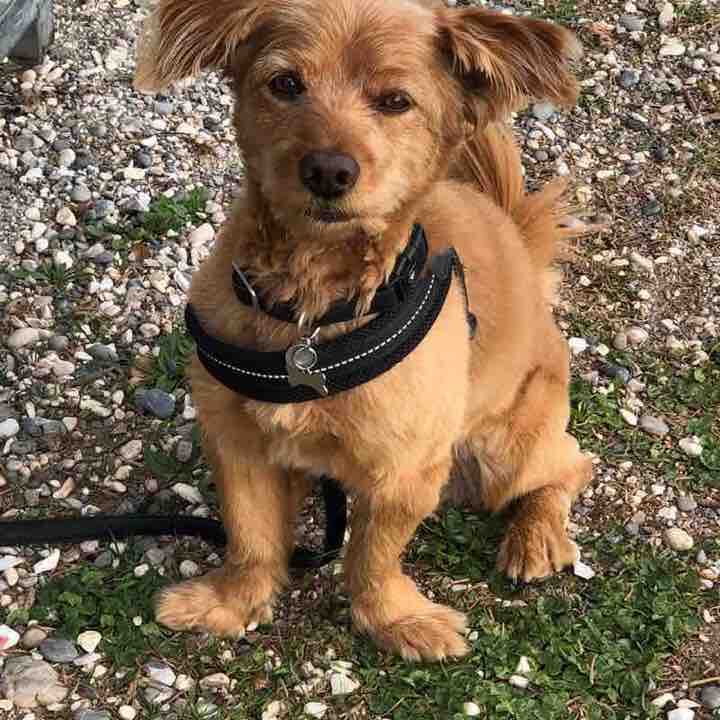 Looking for the 14 km route .. walking route map in Saletti