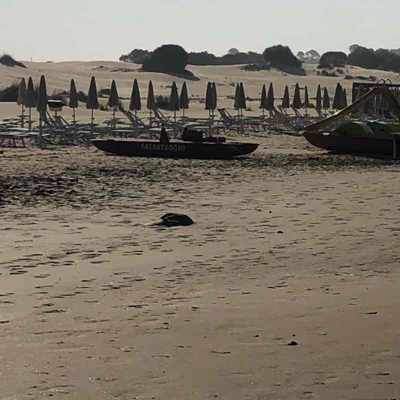 Martedì con il vento forte e mare mosso