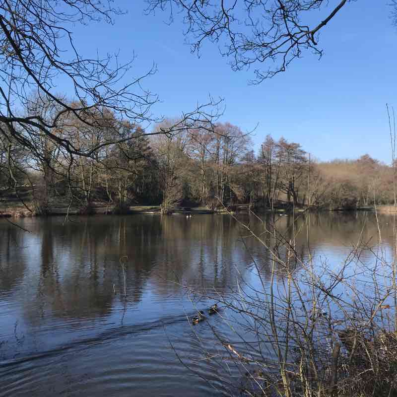 Essington dreamer walking route map in Willenhall