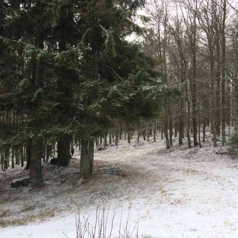 Hohwald walking route map in Le Hohwald