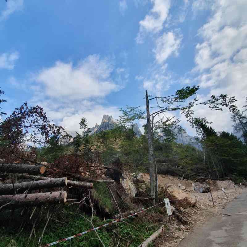 Hiking Haut-Koenigsbourg walking route map in Châtenois