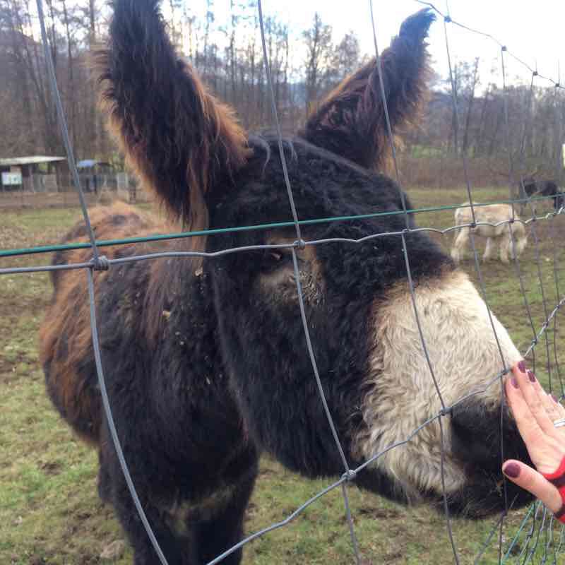 From Muhlbach to Russ walking route map in Muhlbach-sur-Bruche
