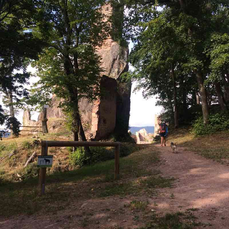 Hiking Thannenkirch walking route map in Bergheim