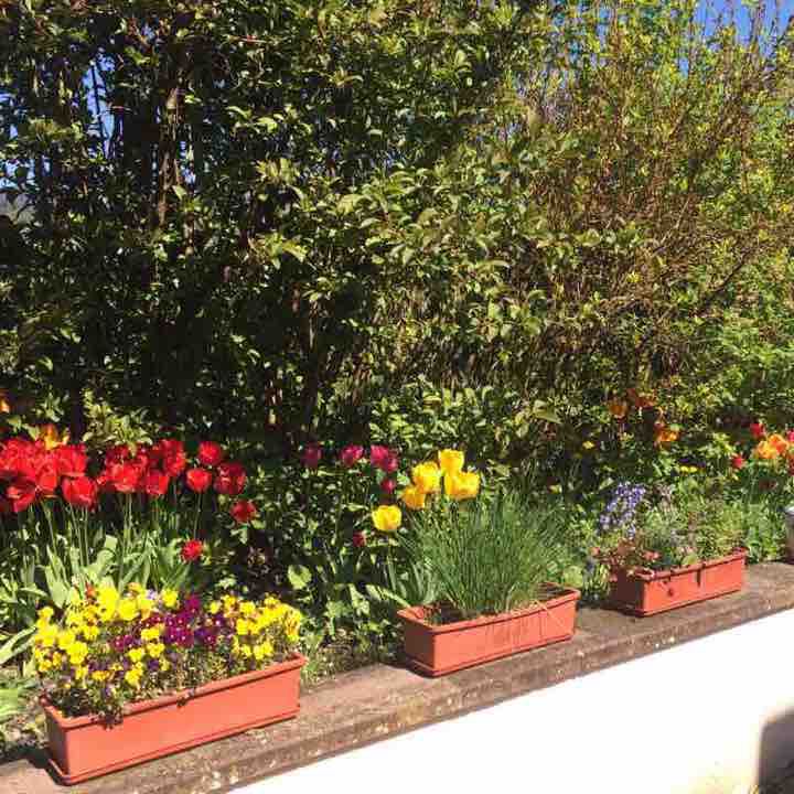 Lutzelhouse Forest walking route map in Muhlbach-sur-Bruche