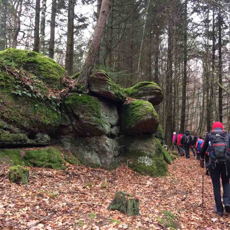 Hiking Oberhaslach, Bruche Valley walking route map in Still