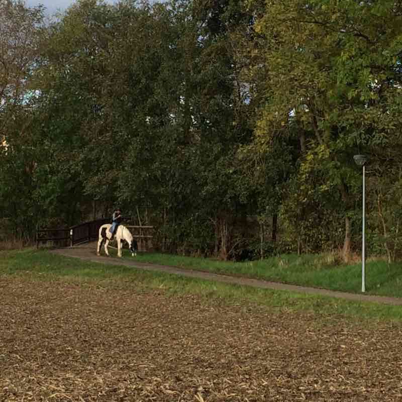 Walk the Bruche Canal / Soulz-les-Bains walking route map in Dachstein