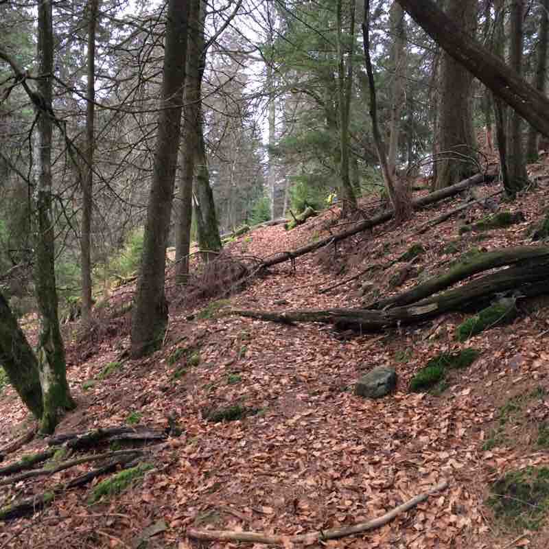 Grendelbruch forest hike walking route map in Grendelbruch