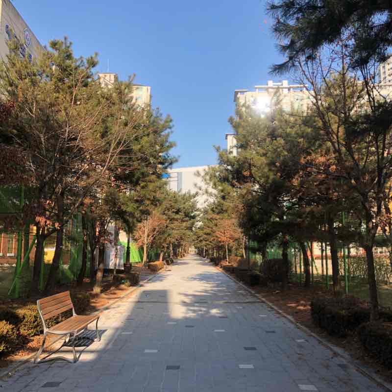 아침조깅