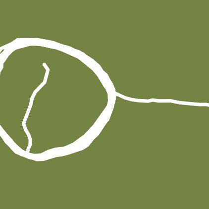 Golf green central park