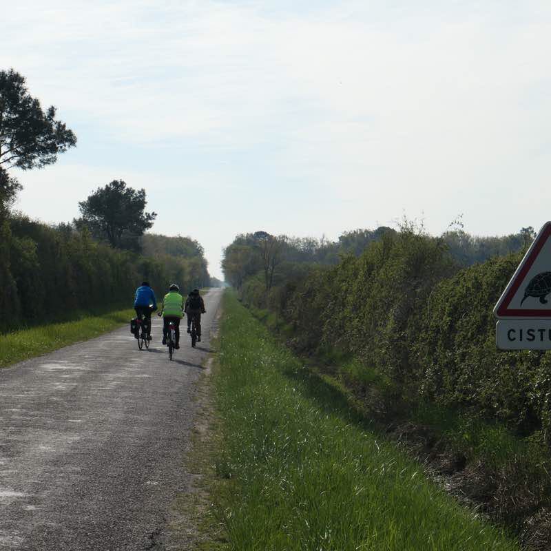 Bike ride on the day in Brenne walking route map in Mézières-en-Brenne