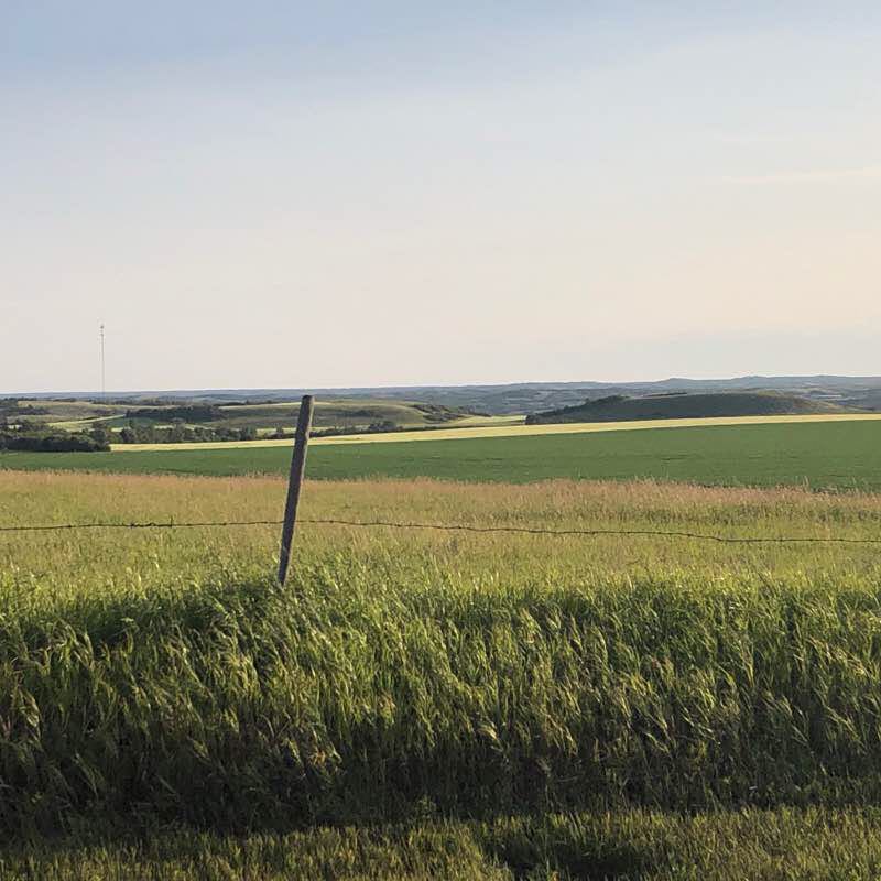 Murray inward walking route map in Cochin