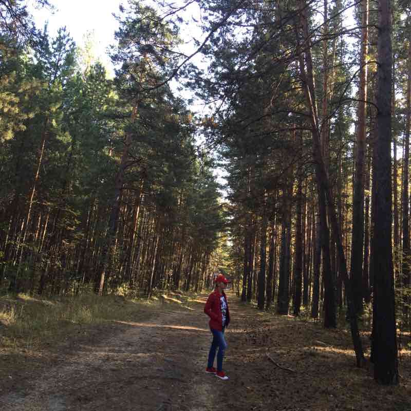 Трасса здоровья