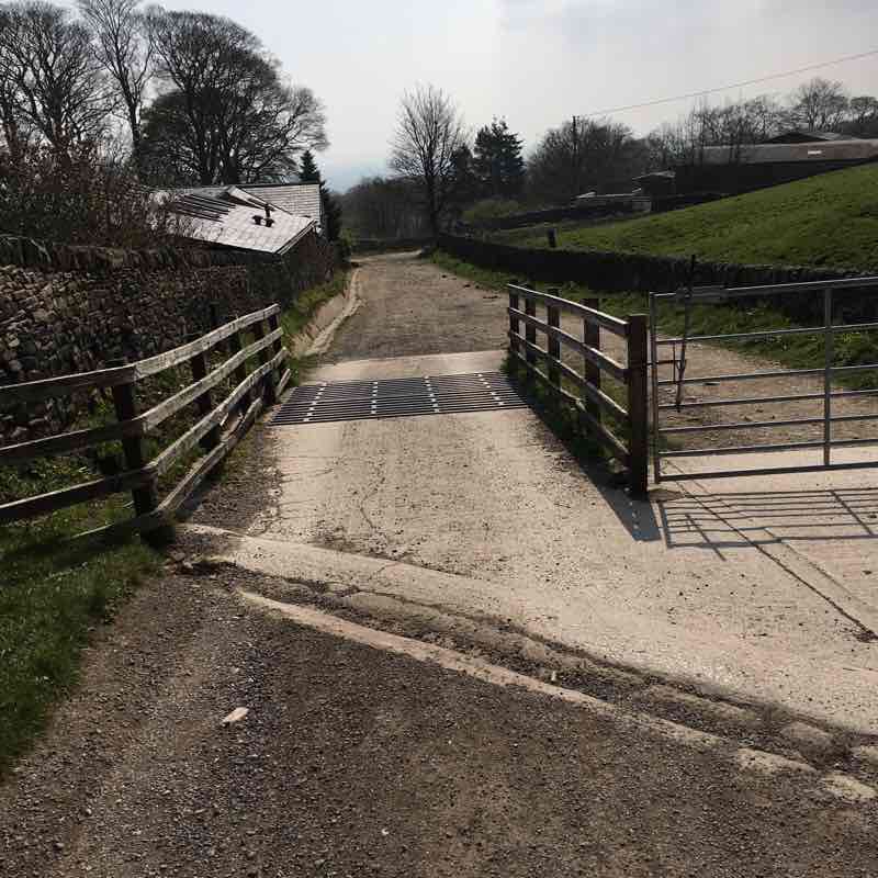 Amos’s first pilgrims cross walk 