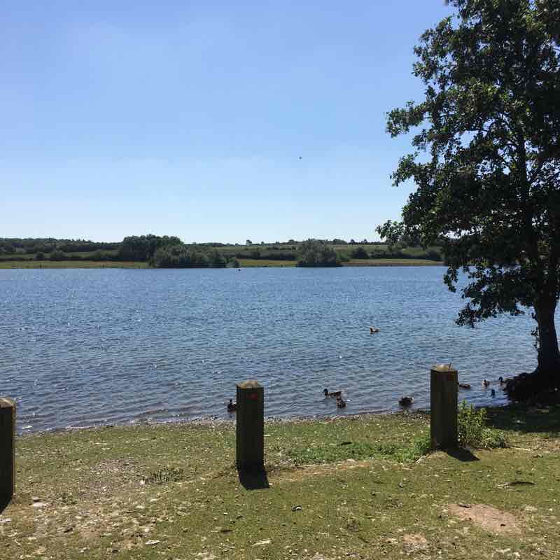 Pitsford Water walking route map in Holcot