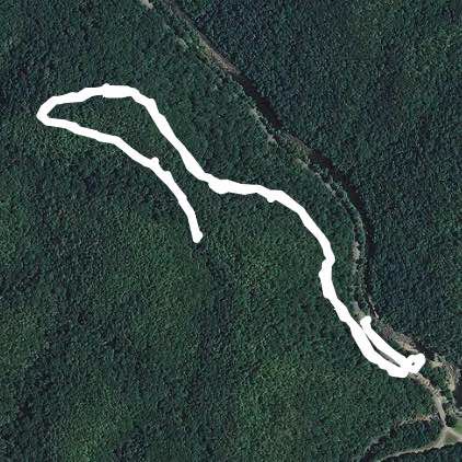 Chestnut Top Trail