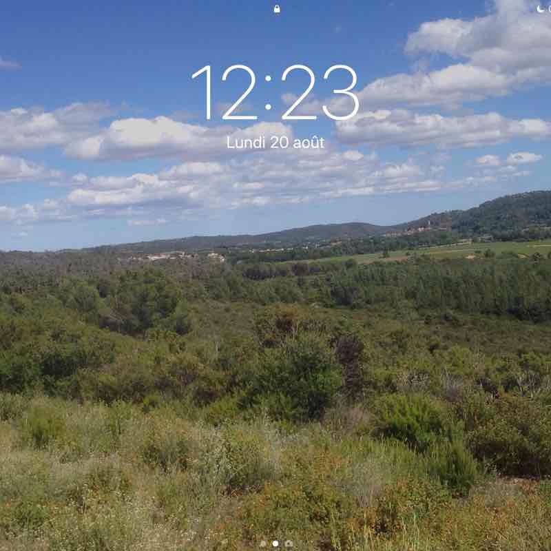 Eucalyptus walking route map in Cessenon-sur-Orb