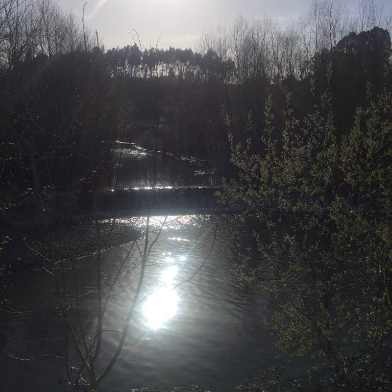 Paseo Roa Villaviciosa walking route map in Villaviciosa