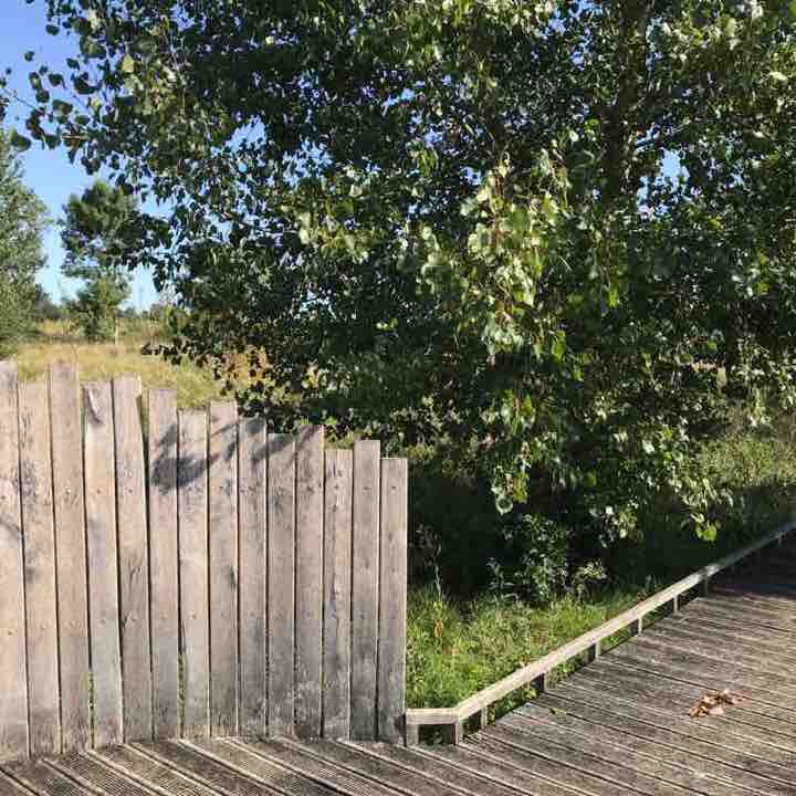 Dive Channel walking route map in Bellevigne-les-Châteaux