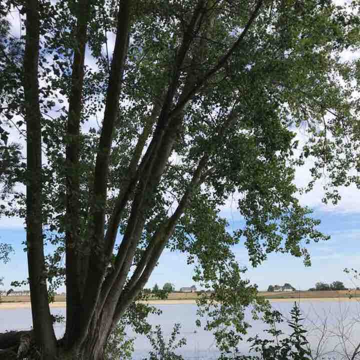 Saint Rémi: the Drinks. ! walking route map in Loire-Authion