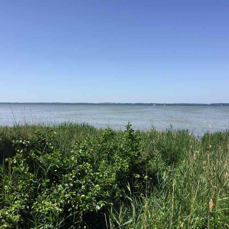 Müritz Seerundweg walking route map in Waren (Müritz)