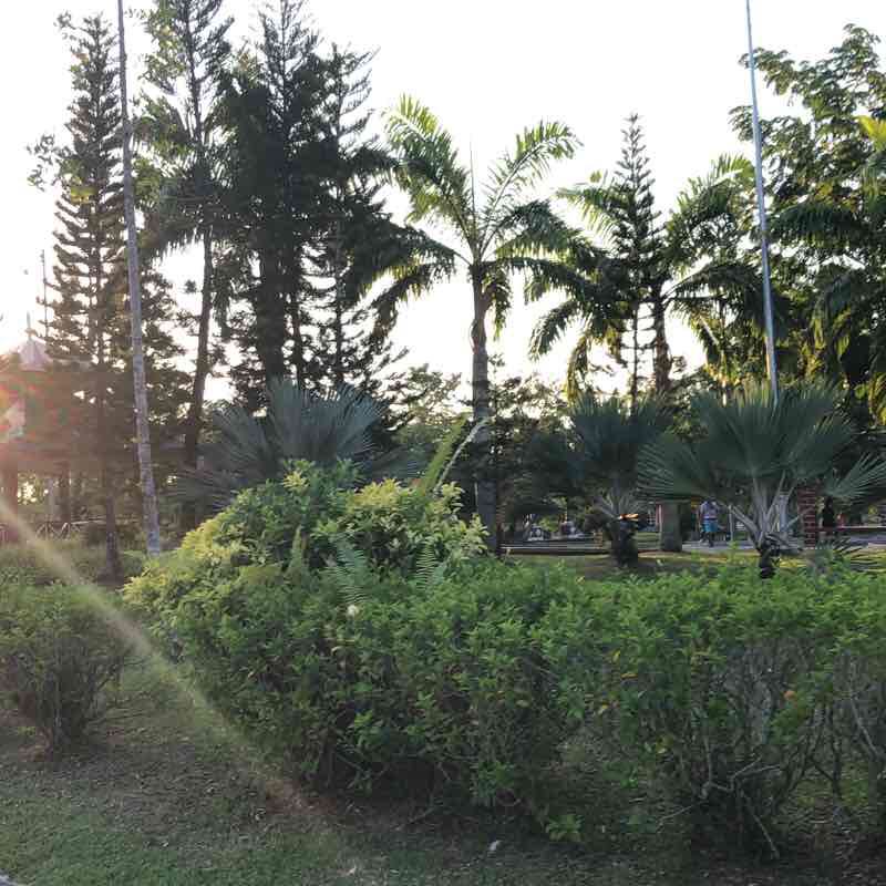 Taman 
