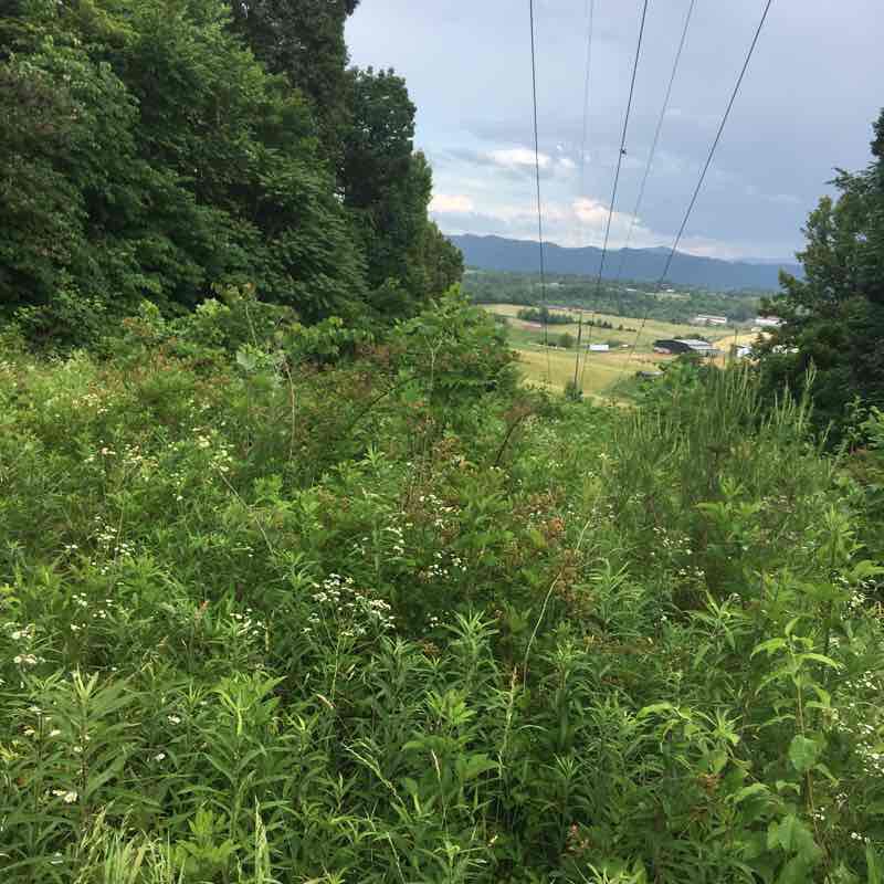 Walters Trail to Luke’s Trail