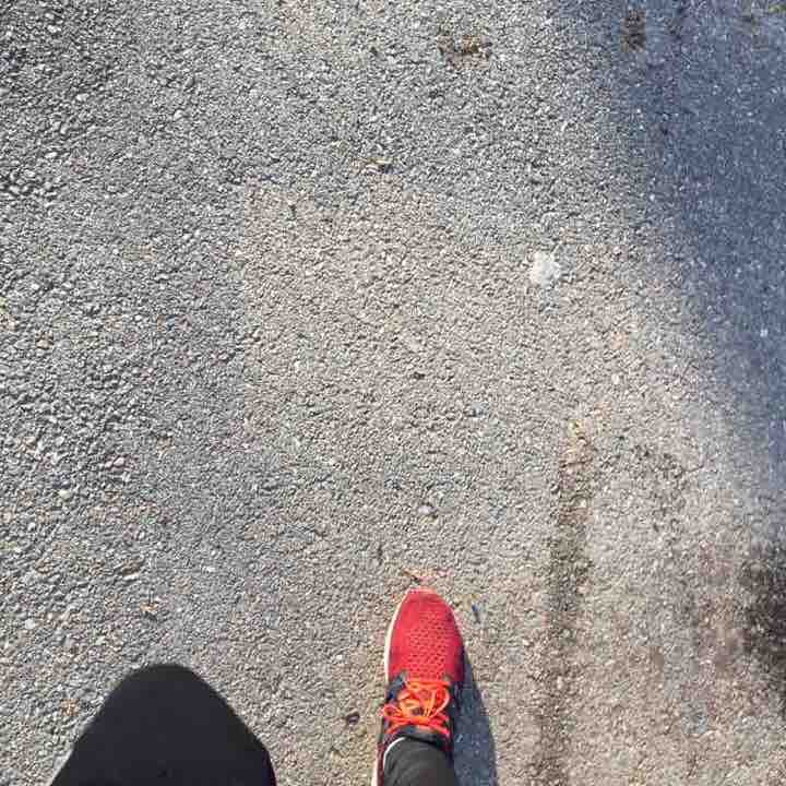 Park
