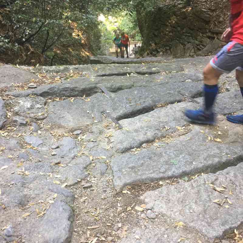 Fractions of Blevio walking route map in Blevio