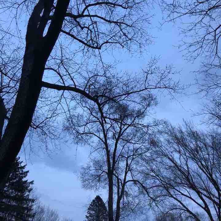 Short Cemetery Walk 