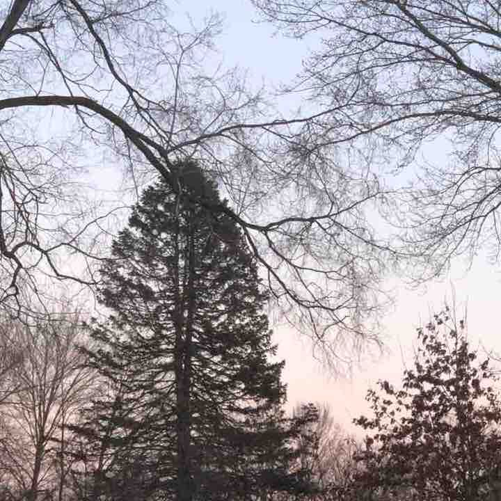 Shortcut to Rosehill Cemetery walking route map in Berrien Center