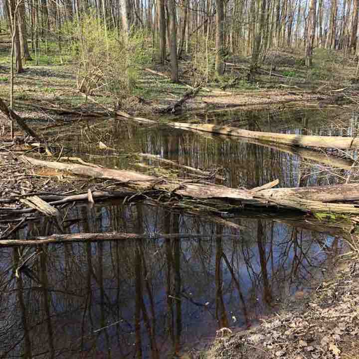 Love Creek Trail Trek walking route map in Berrien Center