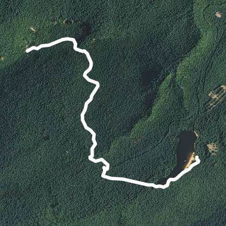 Hanging Rock Park - Moore's Knob (stairs trail)