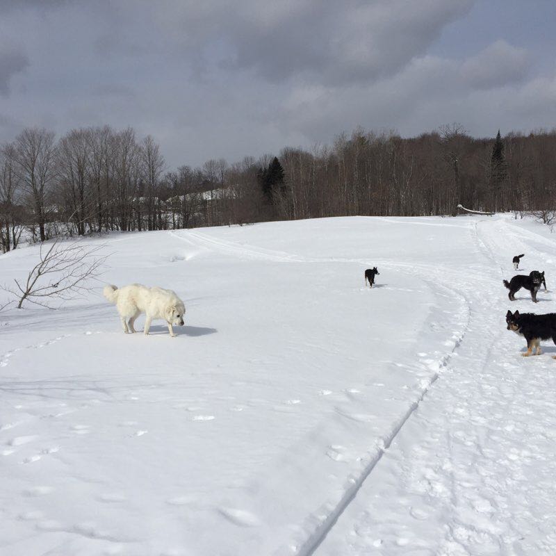 River and Hill Trail 2 walking route map in Prévost