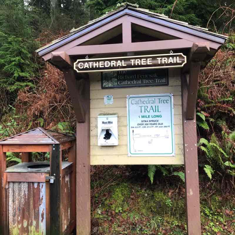 Cathedral Tree Trail