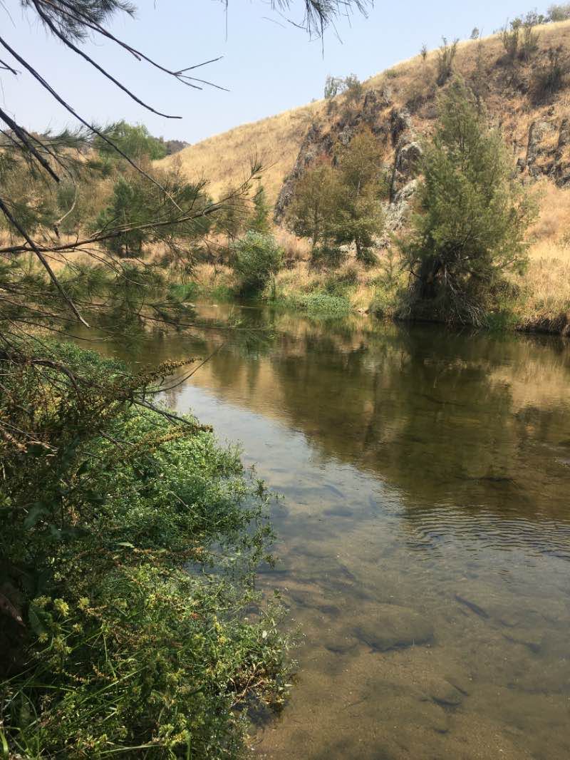 walking near me in Woodstock Nature Reserve in summer
