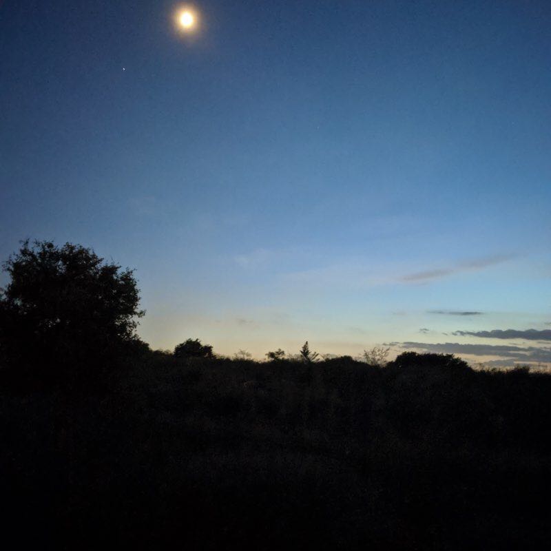 Moon walk 🌙 walking route map in New Braunfels