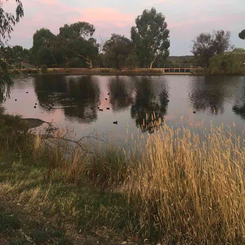 Walk walking route map in Kangaroo Flat