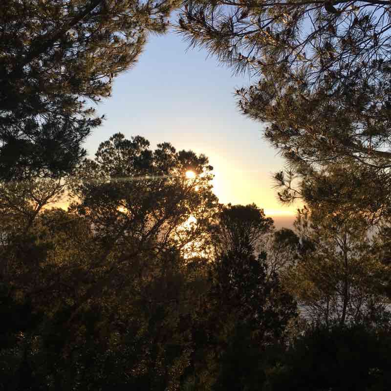 Cala Moli to Cala Vedella trek walking route map in Sant Josep de sa Talaia