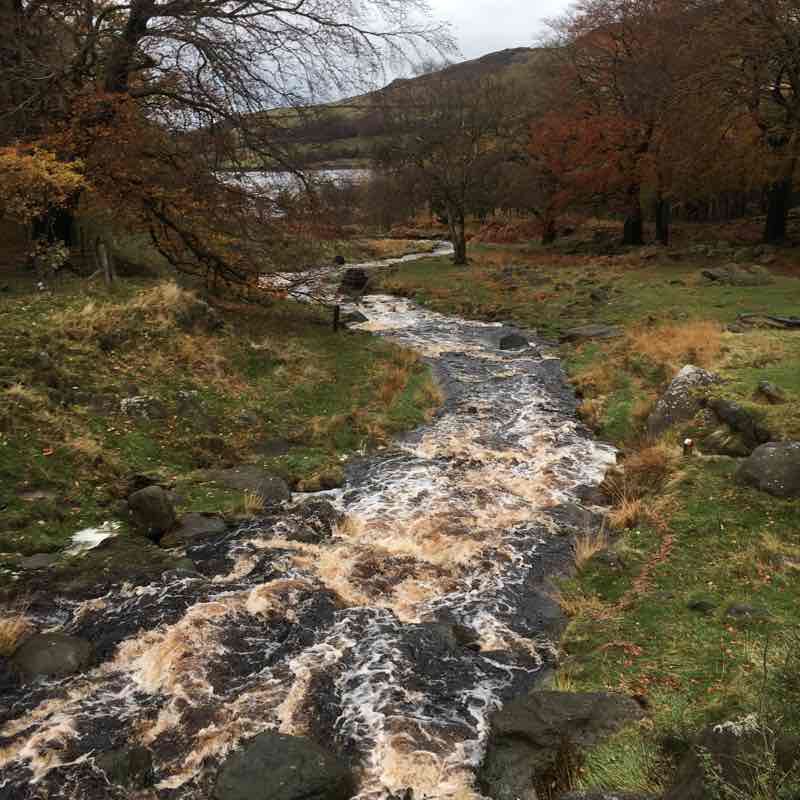 Dovestone Reservoir Walk Trail Saddleworth, Oldham, England Pacer