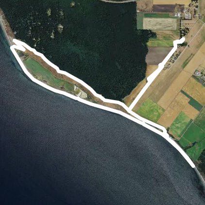 Ebey's prairie trail