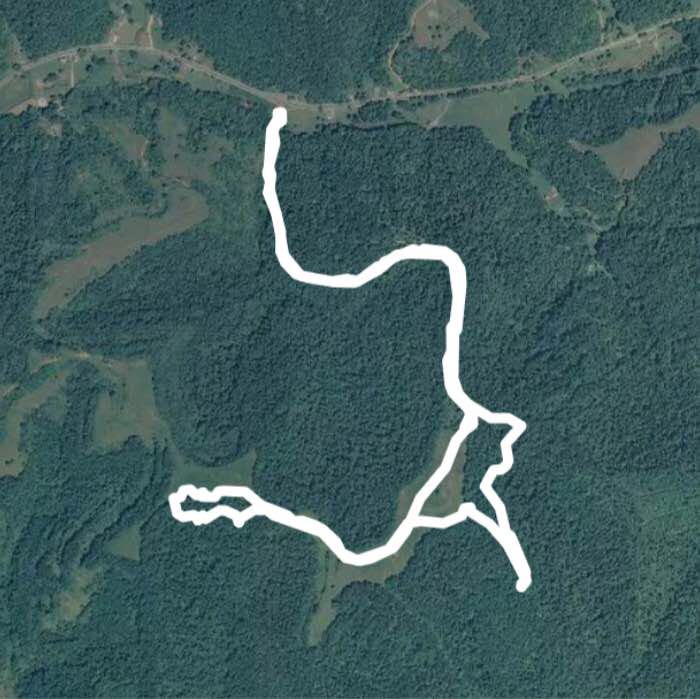 FC-WMA walking route map in Reedy