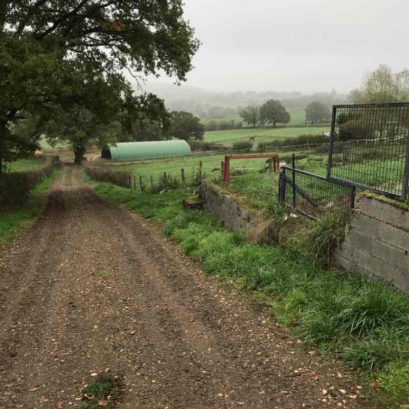 The Bizots walking route map in Les Bizots
