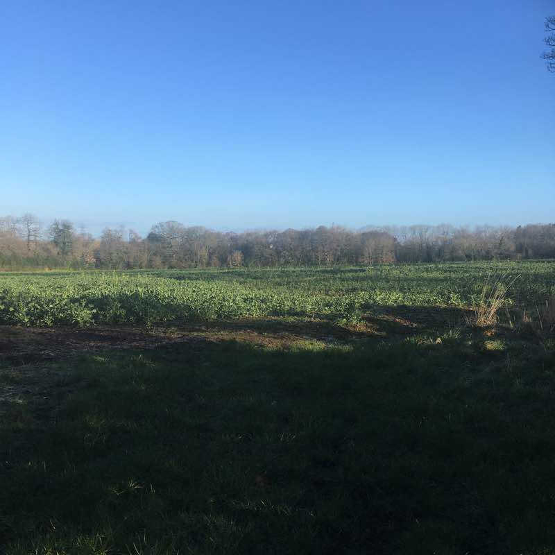 Moseley walking route map in Essington