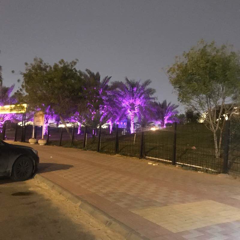 Mount Mericabat Park