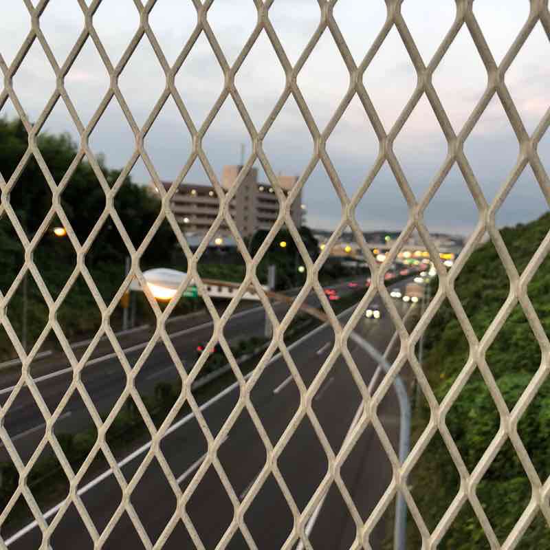 鶴見川の中流歩き