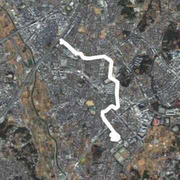 土曜の朝の遊歩道
